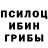 Псилоцибиновые грибы Cubensis nocobo games