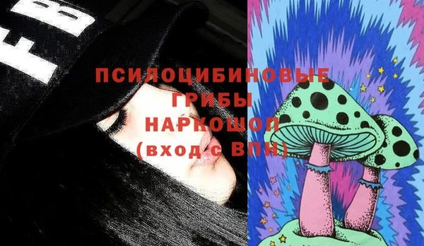 спайс Бородино