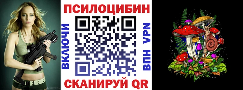 закладка  Голицыно  Псилоцибиновые грибы мицелий 